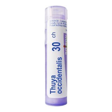 Boiron Thuya occidentalis, 30 CH, granulki, 4 g