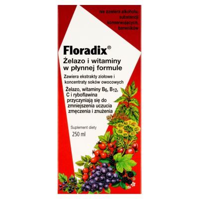 Floradix, żelazo i witaminy, płyn, 250 ml main product photo
